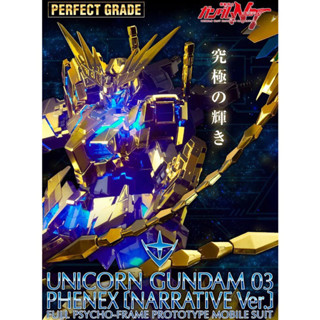【逗Sa玩具】現貨 BANDAI PG 1/60 獨角獸3號機 PG鳳凰 PB限定 鳳凰 鋼彈 電鍍