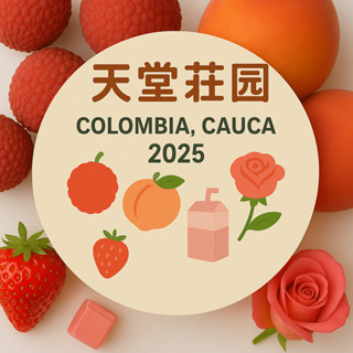（醇巧果香）哥倫比亞 考卡 天堂莊園 雙重厭氧 豔夏花荔 2024 咖啡豆