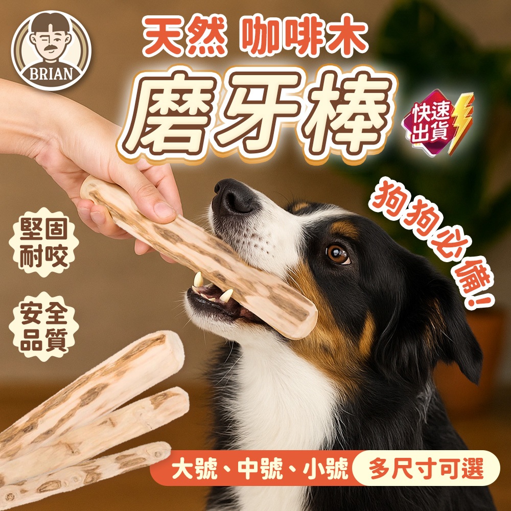 咖啡木磨牙棒【布萊恩👨🏻隔日到貨】狗狗磨牙棒 狗磨牙棒 狗狗耐咬玩具 木頭棒 狗玩具 磨牙潔齒棒 互動玩具  寵物用品