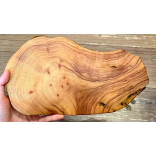 臺灣牛樟—萬用臺座/原木/拍攝道具/水晶底座/手工細緻拋磨（兩面皆可使用，獨一無二，僅此一件）