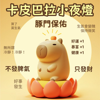 ✨超絕CP單品✨爆款卡皮巴拉矽膠小夜燈 卡皮巴拉 臥室床頭擺件 拍拍燈 高階感氛圍燈 臺燈
