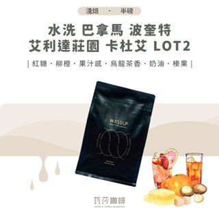 【門市熱銷TOP】水洗 巴拿馬 波奎特 艾利達莊園 卡杜艾 Lot2 兩次手選挑豆 100%阿拉比卡精品咖啡豆