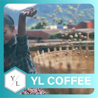 【臺中咖啡友樂】Ethiopia Yirgacheffe 咖啡︱臺中南區精品咖啡、西屯莊園咖啡豆批發宅配【濾掛咖啡推薦】