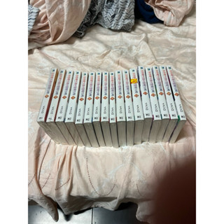 （書太多，分兩批下標）最強魔法師的隱遁計畫 小說1～17 作者 イズシロ 出版社：東立（二手）