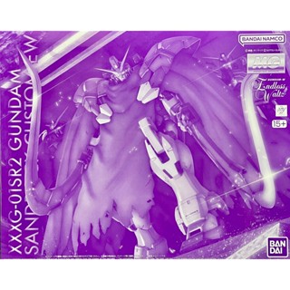 BANDAI PB限定 MG 1/100 沙漠鋼彈 EW GUNDAM SANDROCK CUSTOM W 改 鋼彈
