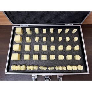 牙科牙技 型態雕刻 1.5倍 步驟模型( 快速出貨 )
