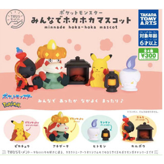 【現貨】 T-ARTS 寶可夢 POKEMON 掌心大小 取暖系列 立體公仔 皮卡丘 炙燙鱷 燭光靈 炭小侍 毯子 壁爐
