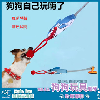 臺灣出貨✨Halo Pet✨寵物玩具 耐咬玩具 狗狗玩具 耐咬狗玩具 狗狗益智玩具 發聲玩具 磨牙玩具 寵物拔河玩具