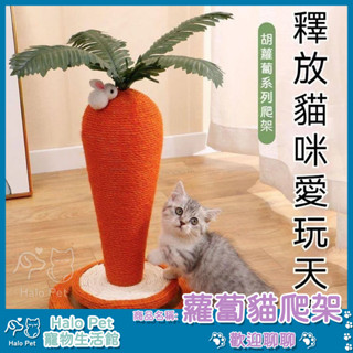 臺灣出貨✨Halo Pet✨胡蘿蔔 貓咪抓板 立式 耐磨 不掉屑 劍麻 貓抓柱 沙發防抓 磨爪器 逗貓玩具 造型貓抓柱