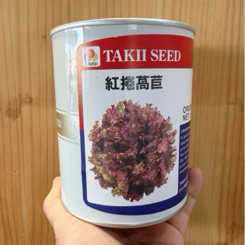 原包裝 1/2磅 紅捲萵苣種子 紅萵苣種子 紅生菜種子 生菜種子 萵苣種子 紅卷萵苣種子 紅捲萵苣種子 捲萵苣種子