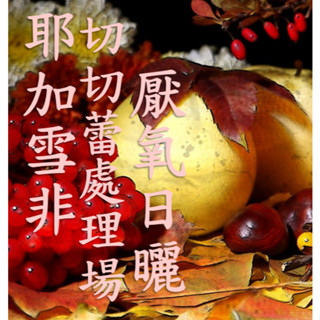 (2024) 獵豆工坊🐆衣索比亞 耶加雪菲 切切蕾處理場 厭氧日曬G1 咖啡生豆 500G