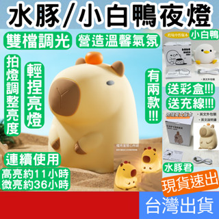 (居家專區+電子發票快速出) 小白鴨 水豚君 小夜燈 水豚夜燈 拍拍燈 伴睡燈 交換禮物 寶寶夜燈 水豚 氣氛燈 床頭燈