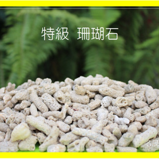 特級 珊瑚砂 (免運) 珊瑚石 珊瑚枝 珊瑚沙 珊瑚骨 貝殼砂 貝殼沙 水族底沙 魚缸 底砂 菲律賓沙 濾石*鵝卵石