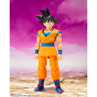 【玩模收藏】正版現貨 S.H.F 孫悟空 / 七龍珠 DAIMA 大魔 / SHF 悟空 可動模型完成品