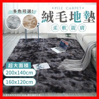 【挑戰蝦皮最低價】地毯 長毛地毯 絨毛地墊 北歐大地毯 床邊小地毯 客廳房間臥室家居床邊毯 毛絨大地墊 加厚毛地毯