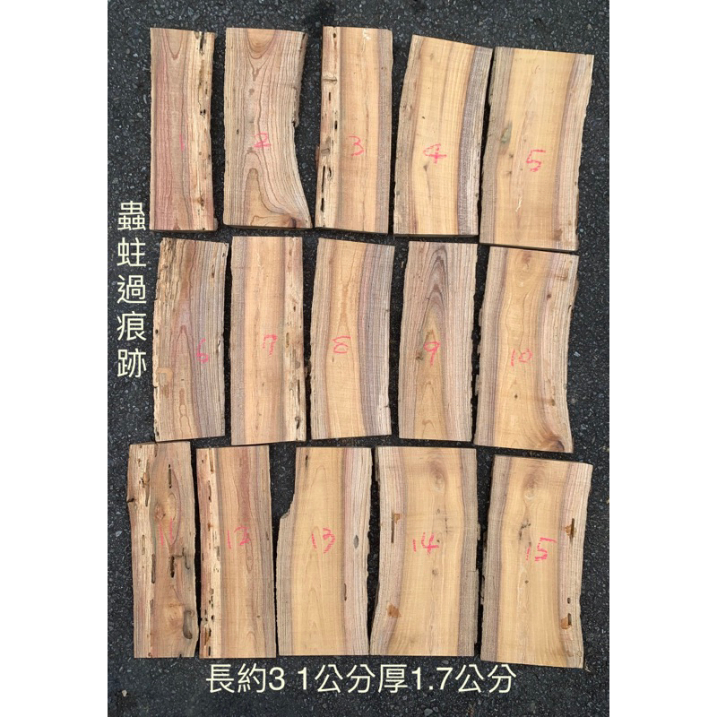 台灣櫸【紅雞油】原木木板/藝品陶藝擺設底座/置物板/木質墊片/雕刻裝飾用材/鹿角蕨蘭類栽植上板