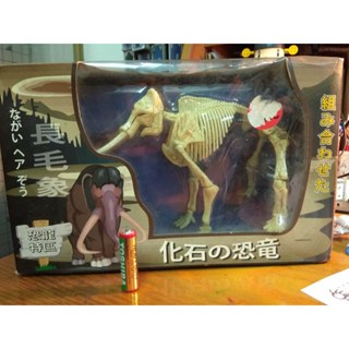 長毛象骨骼模型-恐龍化石-猛瑪
