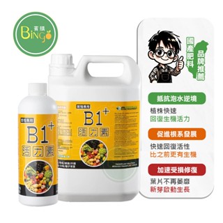 賓購 B1活力素 2倍濃度 開根劑 淹水抗逆境 強根 扦插 嫁接 分株 定植 種子育苗 蕃茄 藍莓肥 果樹 菜苗 草莓肥