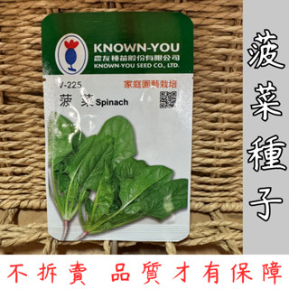 【臺灣現貨-天天出】菠菜種子 蔬菜種子 菠菜 種子 高發芽率 易種植 家庭園藝 綠葉蔬菜