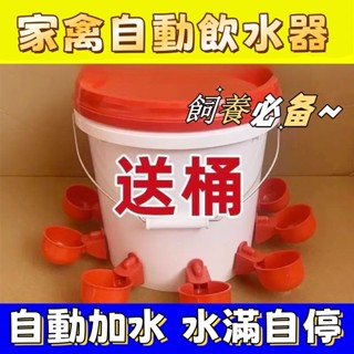 家禽飲水器 家禽 雞 鴨 養殖 喂雞 自動飲水器 鴨 鵝 鵪鶉 水桶 大雞 喝水器 鴿子 喂鴨 水槽