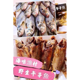 澎湖海鮮直送｜7-11冷凍店到店｜澎湖午仔魚
