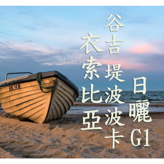 (2024) 獵豆工坊🐆衣索比亞 谷吉 烏拉嘎 提波波卡 日曬G1 咖啡生豆 500g
