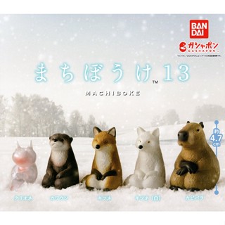 等待中動物公仔 P13 扭蛋 轉蛋 等待動物 等候動物 水獺 狐狸 水豚 動物模型 BANDAI 萬代 日本正版【現貨】