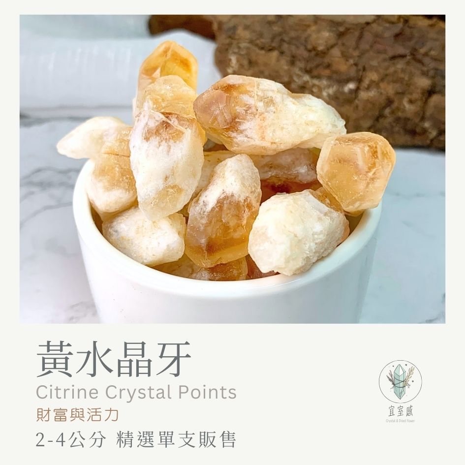 【宜室感】 黃水晶牙 精選單支販售 | 天然水晶 原礦 招財 黃水晶芽 開運 礦石收藏 原石 辦公室擺設