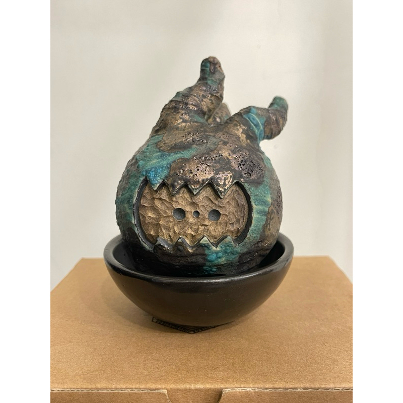 新品未使用】 COPIAPOA BALCK PRINCE 黒王種群 黒王子｜Yahoo