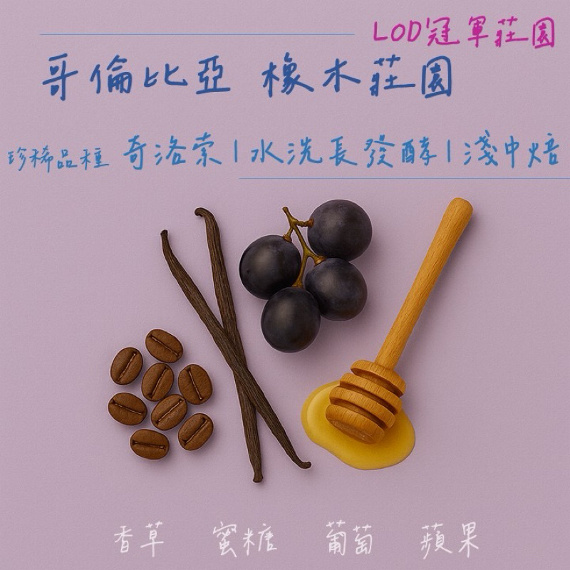 🍇新品上市🍇 哥倫比亞 橡樹莊園 奇洛索 水洗長發酵