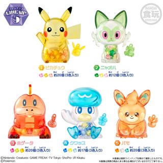 【LUNI 玩具雜貨】現貨 精靈寶可夢 Crystal Cot 水晶收藏 盒玩 整套5款 BANDAI 寶可夢透明公仔