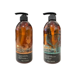 ｜VB美妝｜💯公司貨 OFVEILY 歐菲莉 堅果油 七葉樹 洗髮精750ml