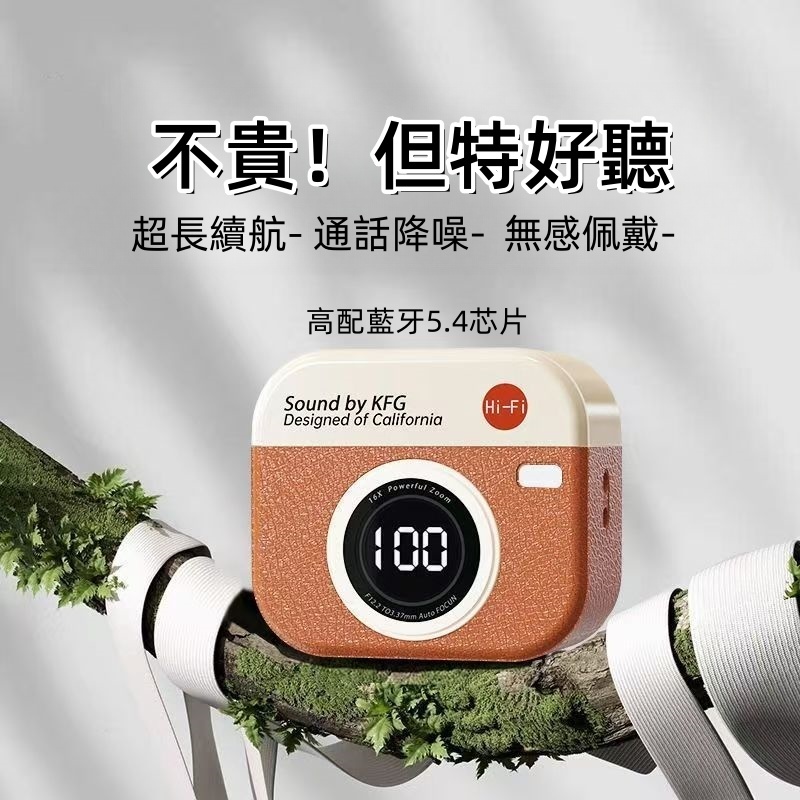 【台灣現貨下殺】無線藍芽耳機 復古高音質 通降噪 超長續航 相機耳機 無感延遲 可愛造型耳機 無線耳機 適用蘋果安卓