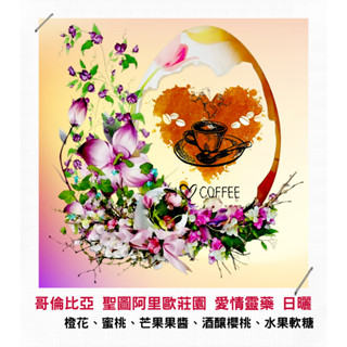 【古哥咖啡烘焙坊】精品咖啡豆｜哥倫比亞 聖圖阿里歐莊園 愛情靈藥 紅波本 水洗