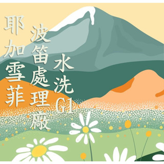 (2025) 獵豆工坊🐆 衣索比亞 耶加雪菲 科契爾 波笛處理廠 水洗g1 咖啡生豆 500g