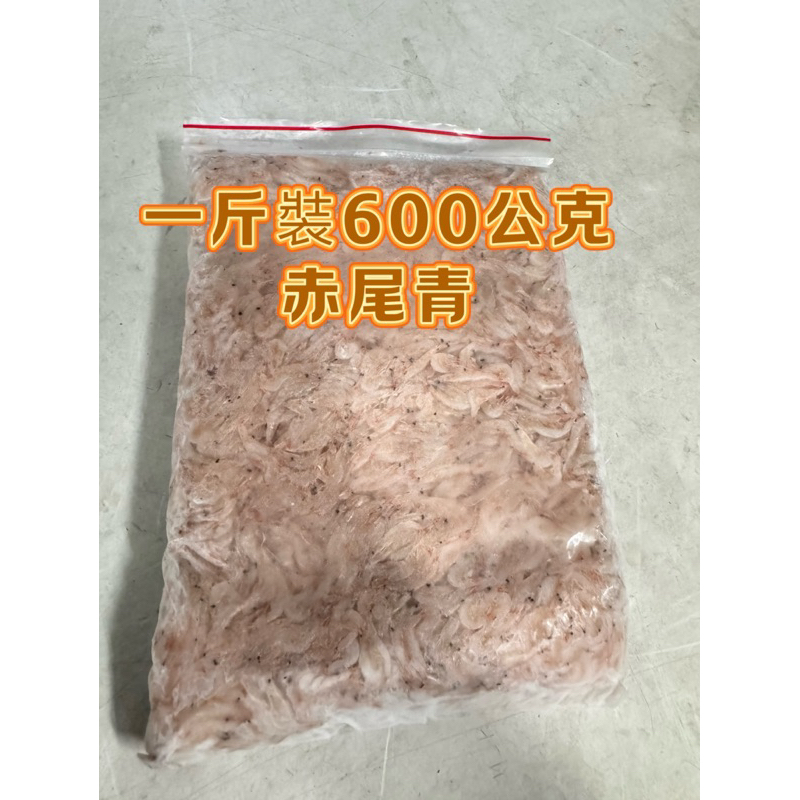 一斤裝赤尾青 600公克 磯釣 誘餌籠 誘餌 ASA  A薩 船磯