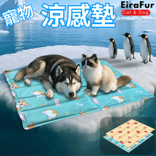 【臺灣現貨】 EiraFur 寵物涼感墊 寵物涼墊 狗狗涼墊 貓涼墊 寵物冰墊 夏天 涼感墊 寵物床墊 現貨