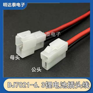 DJ7021-6.3-11汽車線束6.3公母接插件帶線車用/電動摩托車連接線