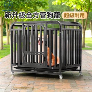 桃園現貨🔥大狗籠 6面全方管加粗鍍梓狗籠 方管狗屋 寵物鐵籠子 鐵藝狗籠狗柵欄 狗圍欄 寵物籠具 【保固兩年】