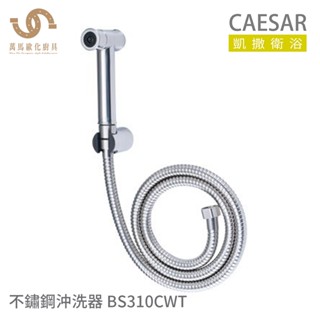 CAESAR 凱撒衛浴 BS310CWT 不鏽鋼沖洗器 浴室沖洗器 附三通