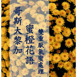 (2025) 獵豆工坊🐆哥斯大黎加 塔拉珠 蜜橙花語 雙重厭氧蜜處理 咖啡生豆 500g