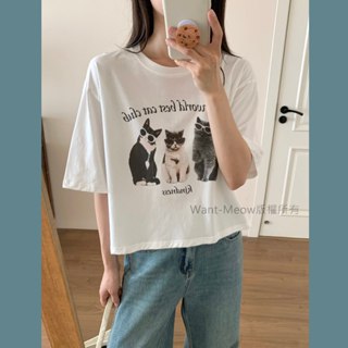 Want-Meow招財貓旺鋪臺灣現貨９０公斤可穿短版印刷美式酷喵喵寬鬆百搭短版大圖T圓案棉T短版中大尺碼上衣大尺碼T恤