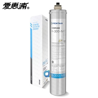 臺灣愛惠浦PENTAIR EVERPURE H300-NXT 活性碳 原廠公司貨盒裝濾芯 H300NXT