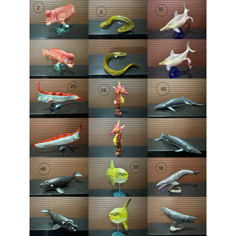 海洋堂。日本擬真公仔 螃蟹 蝦子 甲殼 魚類 海洋哺乳類 系列