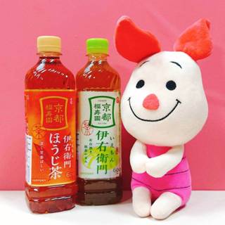 《紅毛丹狗》日本 三得利 伊右衛門 綠茶 焙茶 600ML 京都 福壽園 石臼 抹茶 日本茶 瓶裝茶 IYEMON