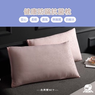睡整天／防蟎抗菌健康枕 枕頭 枕心 內枕 蒙娜麗莎系列 美式風格 臺灣製造 40x70cm 美式健康舒適抗菌枕 軟硬適中