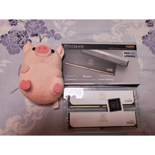 十詮T-CREATE EXPERT DDR5-6400 CL32 48G(24Gx2) 記憶體