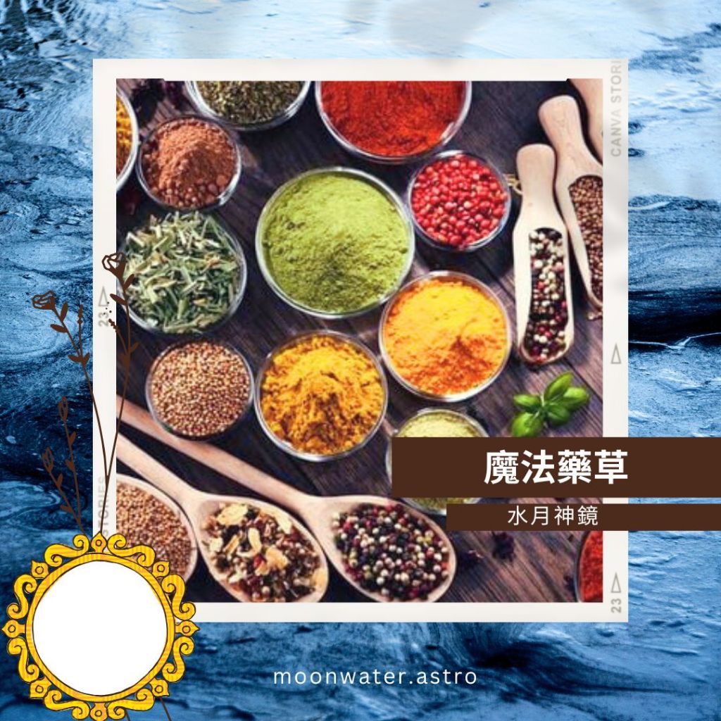 香料 丁香 綠荳蔻 小荳蔻  杜松子 杜松果 羅勒 百里香 奧勒岡 月桂 月桂葉 馬鬱蘭 葫蘆巴子 杜松粉