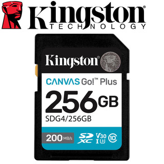 Kingston 金士頓 256GB SDXC SD UHS-I U3 V30 256G 記憶卡 SDG4