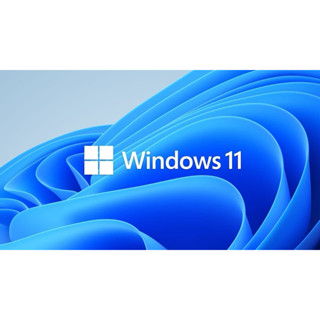重灌USB3.2 微軟Windows家用版專業版工作站版